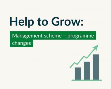 Help to Grow: Management scheme – programme changes