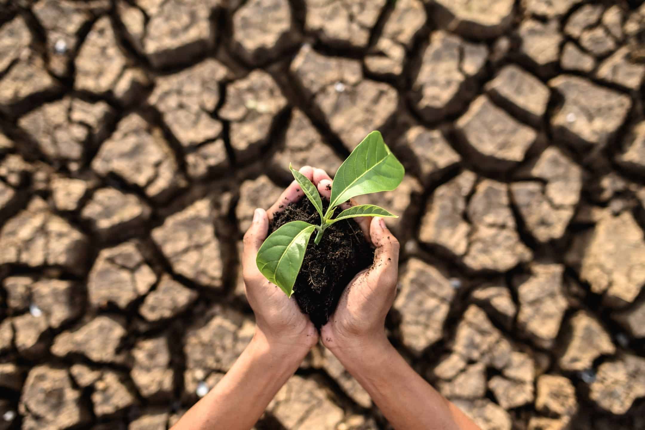 green sustainability